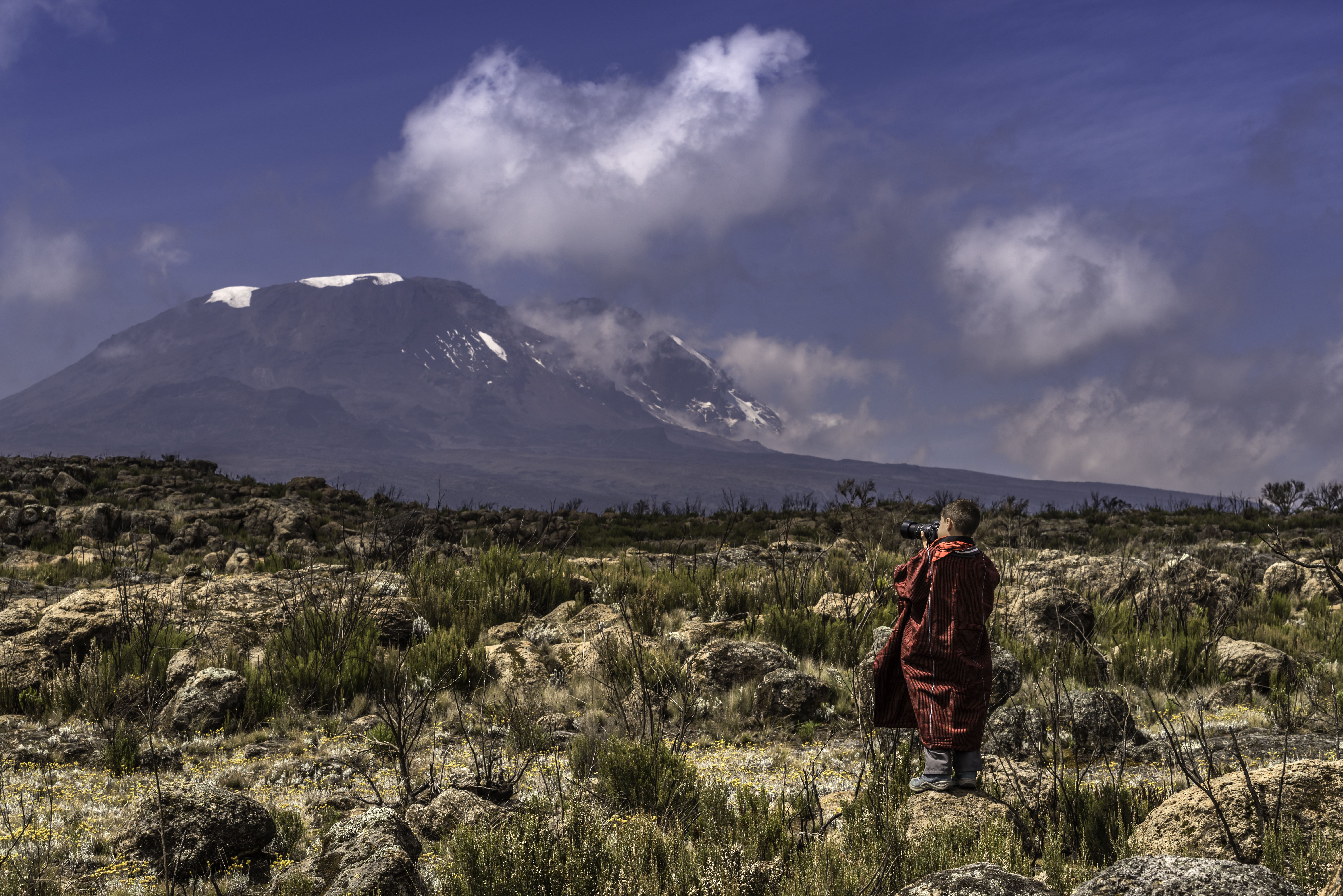Activity  ; Hike on Shira Plateau : Kili For 